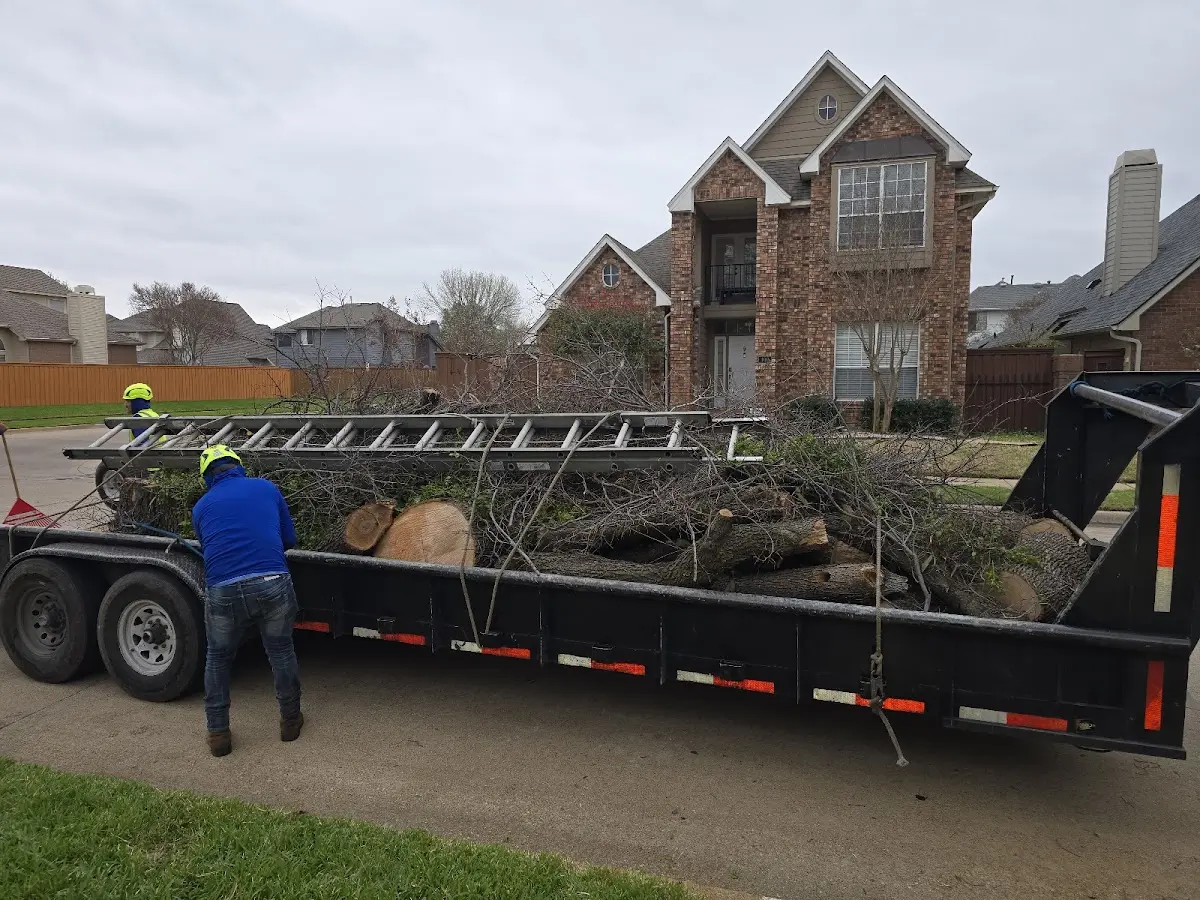 Expert Tree Fertilization with proper safety equipment in Lamar